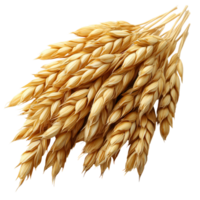 Bundles of golden oats ready for harvest in a rural farming landscape filled with sunlight isolated on transparent background png