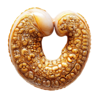 Unique organic sculpture resembling a stylized heart shape, showcasing intricate patterns on surface isolated on transparent background png