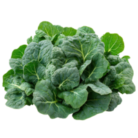 Fresh green leafy vegetables piled together in a vibrant display at a local market stall in autumn isolated on transparent background png