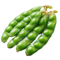 Fresh green sugar snap peas harvested from a local garden ready for cooking and snacking isolated on transparent background png