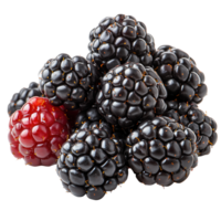 Fresh blackberries and a raspberry clustered together on a white background showcasing their rich colors and textures isolated on transparent background png