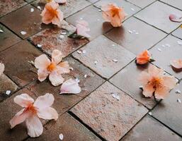A beautiful of flowers scattered on a tiled floor, creating a soft and colorful photo