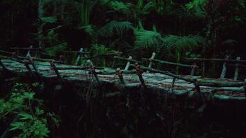 Exploring a rustic wooden bridge in the lush Venezuelan rainforest at dusk video