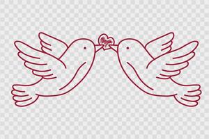 Two doves in flight holding a heart in their beaks, hand drawn in line. vector