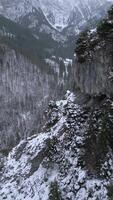Aerial View Of Snowy Valley In The Mountains On Gloomy Winter Day. video