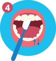 Fourth Step of How to Brush Your Teeth Step by Step Instruction Flat Illustration vector
