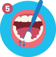 Fifth Step of How to Brush Your Teeth Step by Step Instruction Flat Illustration vector