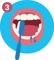 Third Step of How to Brush Your Teeth Step by Step Instruction Flat Illustration vector