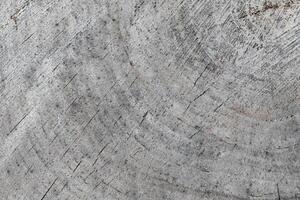Background from a cross section of a tree trunk. Abstract texture from the rings of an old weathered stump photo
