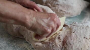 Hands Shaping Seeded Dough on a Flour Dusted Surface video