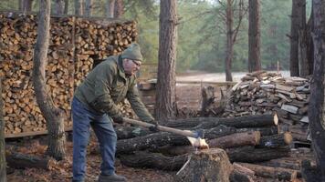 A man in a green jacket and beanie splits logs with an axe in a serene forest setting. Stacks of firewood are visible in the background, hinting at preparation for winter. video