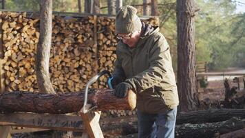 An older man works diligently, using a handsaw to cut a log in a forest clearing. Stacks of firewood are neatly arranged in the background under dappled sunlight. video