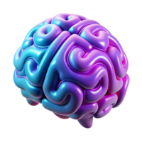 Exploring the Human Brain Structure, Function, and Cognitive Processes png