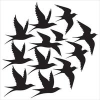 Elegant Swallows in Flight Silhouette vector