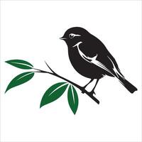 Elegant Feathered Friend on a Branch Silhouette vector