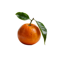 An orange with a leaf on it png