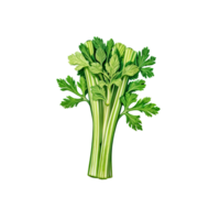 A bunch of celery on a black background png