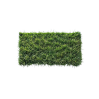 A square of grass on a black background png