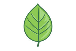 Illustration of a green leaf with a simple design, isolated on a transparent background. Perfect for eco-friendly themes and natural concepts. png