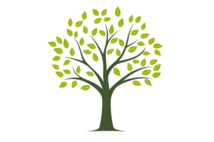 Graphic illustration of a tree with green leaves, symbolizing nature and growth, set against a transparent background for versatile use. png