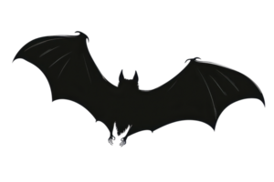 Silhouette of a bat in flight against a plain background, showcasing its distinct wing shape and natural elegance. png