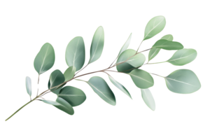 Delicate eucalyptus branch with fresh green leaves isolated on transparent background. showcasing nature's elegance and simplicity. png