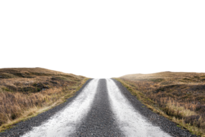 Empty gravel road stretching into the horizon, flanked by grassy fields under a clear sky, representing solitude and the journey ahead. png
