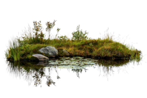 Small lush island in tranquil pond with green grass, rocks, and reflections on water, creating a serene natural scene. png