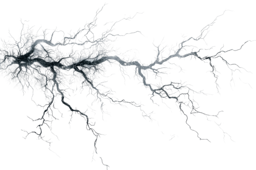 intricato neurale Rete illustrazione in mostra dettagliato neurone rami e connessioni, che rappresentano il complessità di il cervello struttura. png