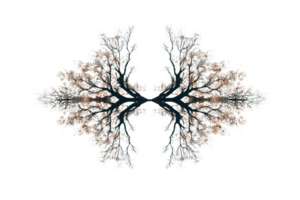 Intricate mirrored tree branch pattern with detailed textures and winter foliage, perfect for nature-themed designs and artistic projects. png