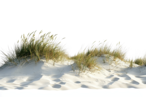Scenic view of sand dunes with grass, highlighting the serene coastal landscape perfect for nature backgrounds and calming images. png