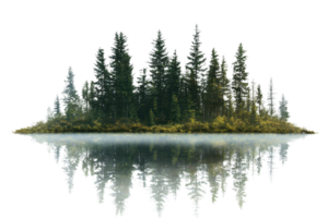 Serene forested island reflected in calm water, creating a mirrored effect of lush green trees, perfect for nature and landscape themes. png