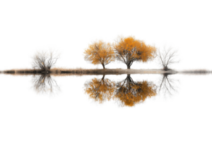 Reflection of colorful autumn and winter trees in calm water, creating a symmetrical and serene natural landscape. png