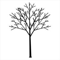 Sparse Tree Silhouette with Slender Trunk and Outstretched Twigs vector
