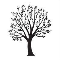 Graceful Tree Silhouette with Thin Branches and Sparse Leaves vector