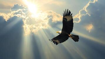 Bald Eagle Soaring Through Sunbeams in a Cloudy Sky photo