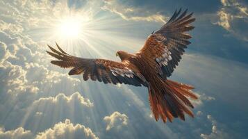 A Hawk Soaring Through Sunlit Clouds photo