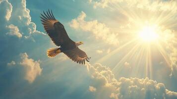 Bald Eagle Soaring Towards the Sun in a Cloudy Sky photo