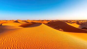 Rolling Sand Dunes in the Sahara Desert at Sunset photo