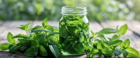 Fresh mint leaves surround a glass jar filled with herbal essence in a natural setting. photo