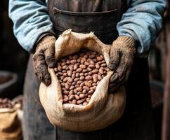 Artisan holds a burlap sack filled with cocoa beans in a workshop setting during the early morning hours photo