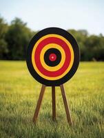 Target is set up on a grassy field under clear skies during a sunny day photo