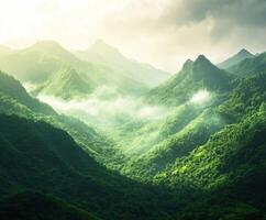 Lush green mountains enveloped in mist during early morning light in a serene natural landscape photo