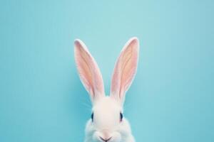 White rabbit with pink ears poses against a light blue background showcasing its curious expression photo