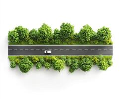 Driving on a tree-lined road in a serene natural landscape during daytime photo