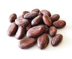 Cocoa beans scattered on a white surface showcasing their rich brown color and unique oval shapes photo