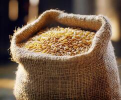 Wheat grains in a burlap sack displayed in natural light with a blurred background photo