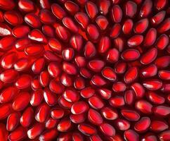 Vibrant red pomegranate seeds arranged closely, showcasing their glossy texture and deep color under bright light photo
