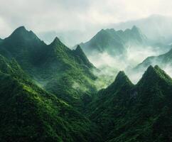 Lush emerald mountains covered in mist after a morning rain in a tropical region photo
