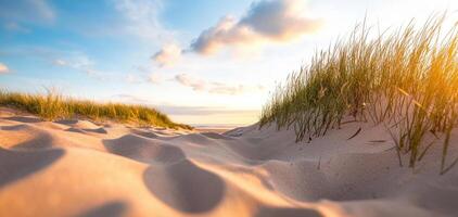 serene view of sand dunes under bright sky, with grass gently swaying in breeze, creating peaceful atmosphere photo